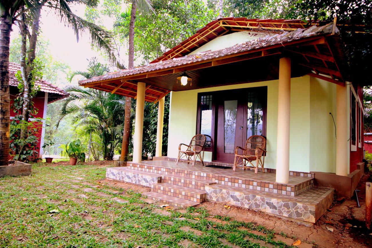 Pepper Green Wayanad Resort With Swimming Pool Kattikkulam 外观 照片