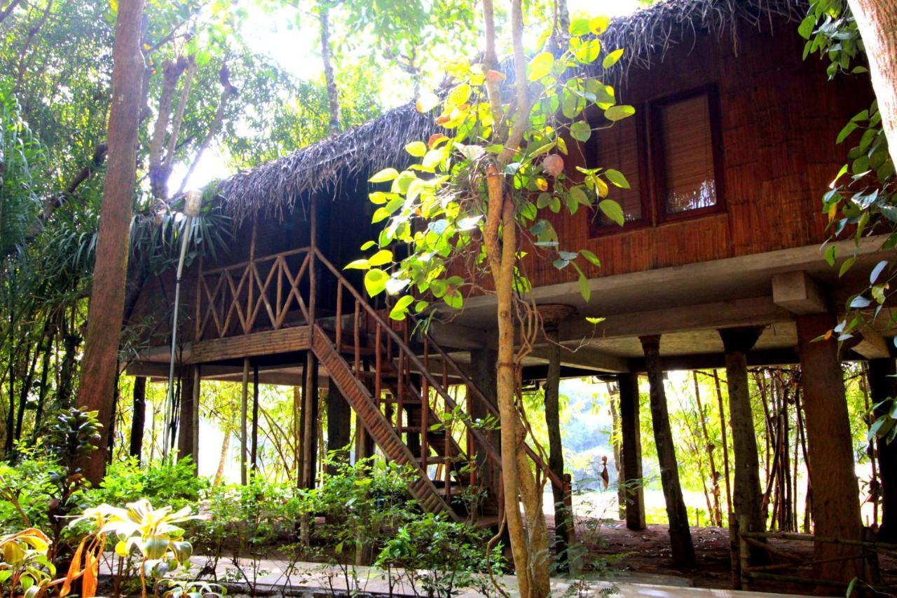 Pepper Green Wayanad Resort With Swimming Pool Kattikkulam 外观 照片