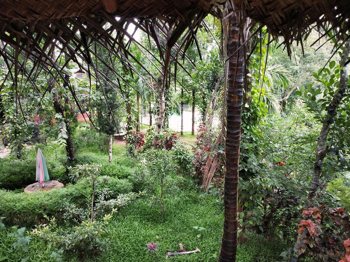 Pepper Green Wayanad Resort With Swimming Pool Kattikkulam 外观 照片
