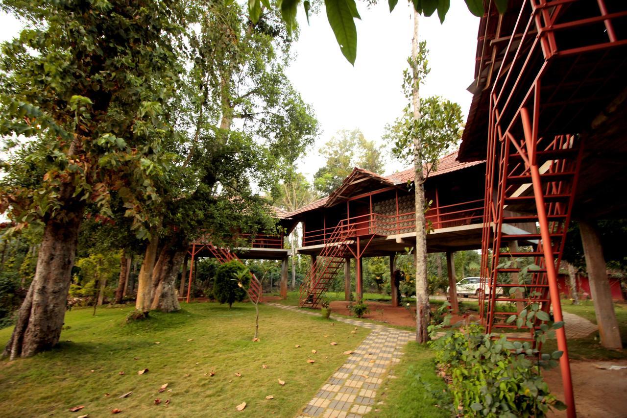Pepper Green Wayanad Resort With Swimming Pool Kattikkulam 外观 照片