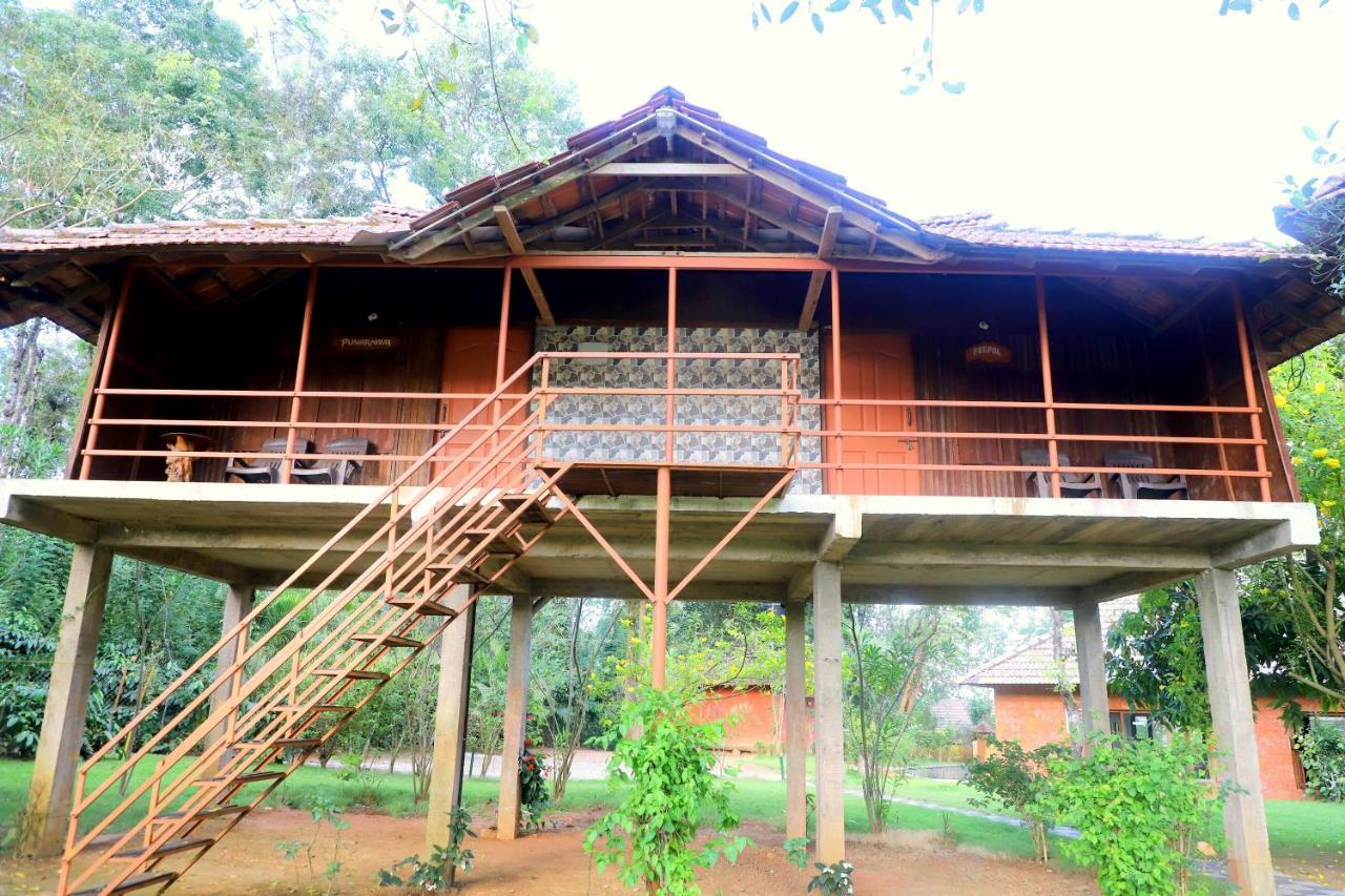 Pepper Green Wayanad Resort With Swimming Pool Kattikkulam 外观 照片
