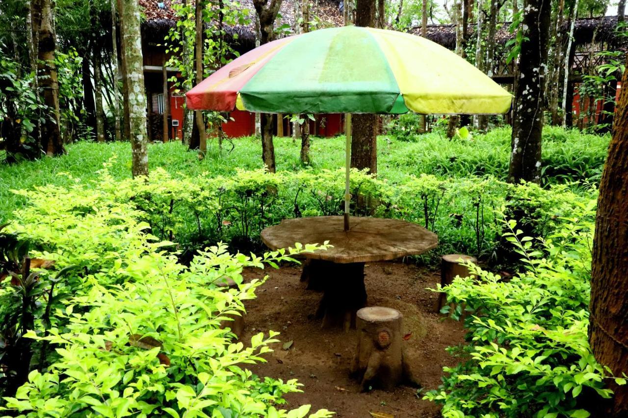 Pepper Green Wayanad Resort With Swimming Pool Kattikkulam 外观 照片