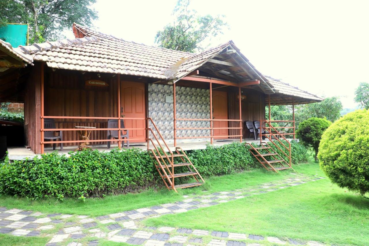 Pepper Green Wayanad Resort With Swimming Pool Kattikkulam 外观 照片