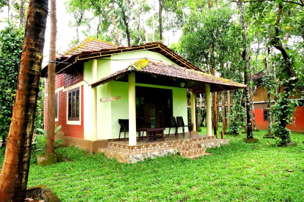 Pepper Green Wayanad Resort With Swimming Pool Kattikkulam 外观 照片