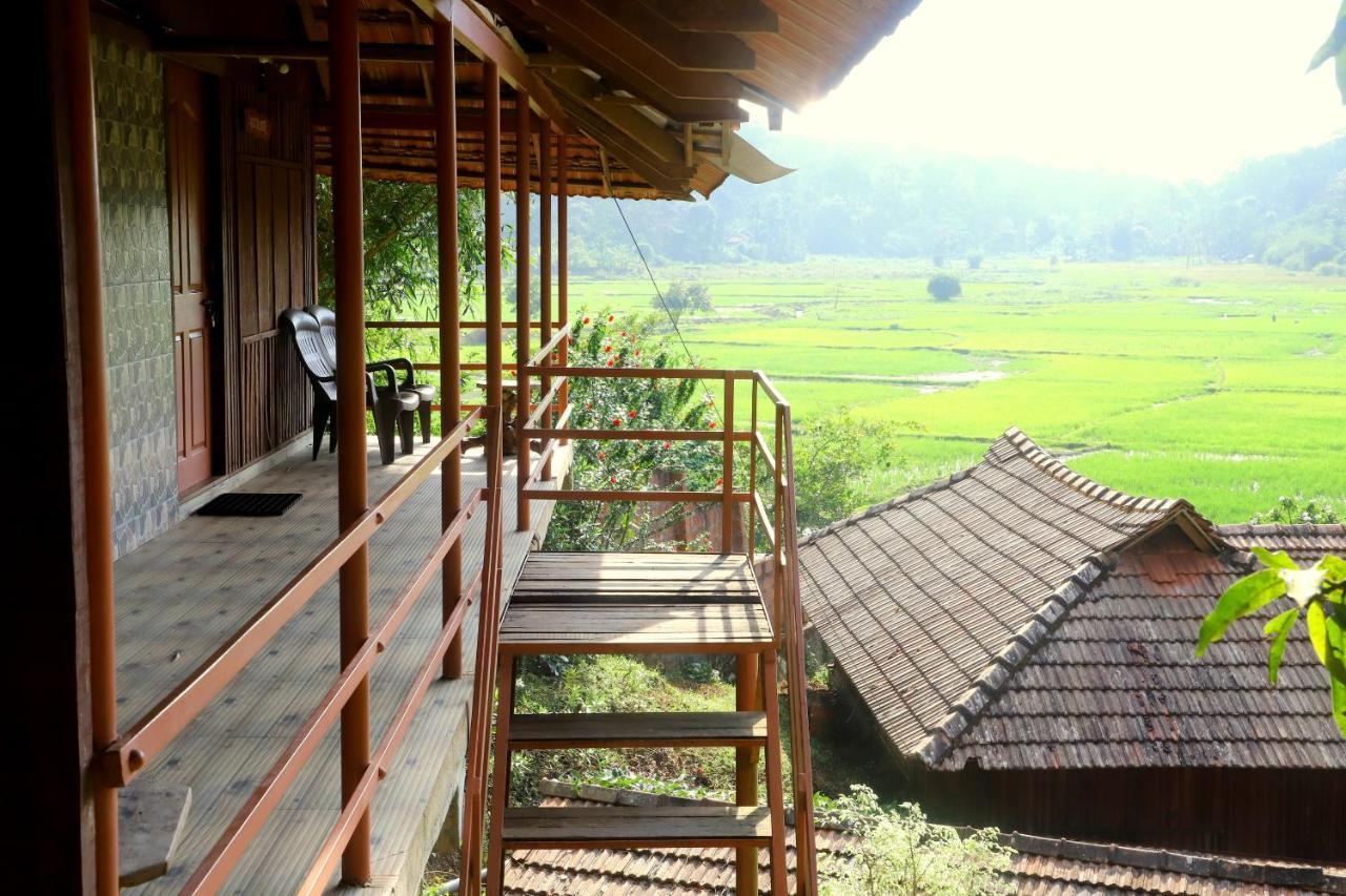 Pepper Green Wayanad Resort With Swimming Pool Kattikkulam 外观 照片