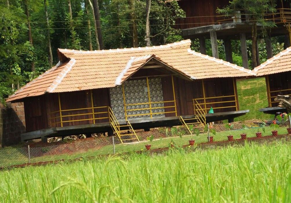 Pepper Green Wayanad Resort With Swimming Pool Kattikkulam 外观 照片