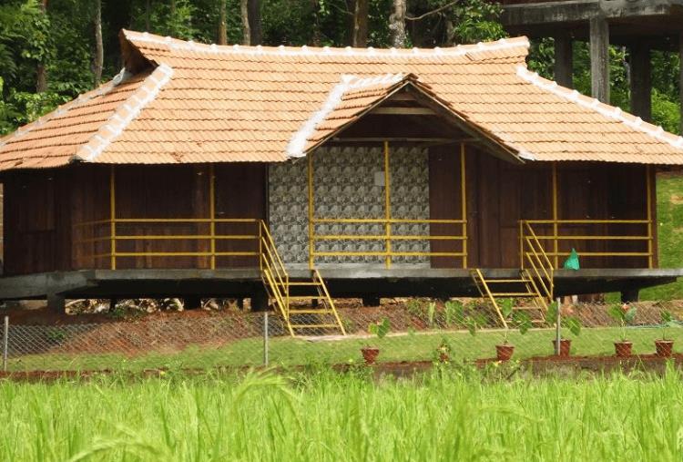 Pepper Green Wayanad Resort With Swimming Pool Kattikkulam 外观 照片